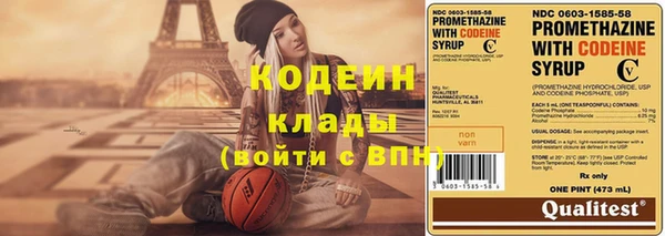 индика Семёнов