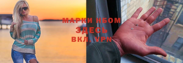 индика Семёнов