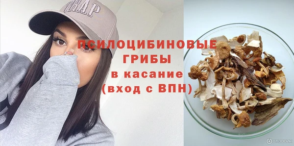 индика Семёнов