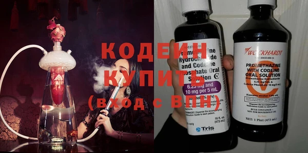 индика Семёнов