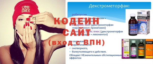 индика Семёнов