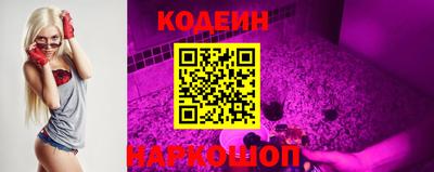 прущие грибы Ярославль