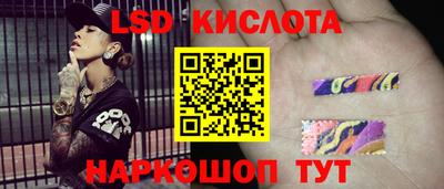 прущие грибы Ярославль