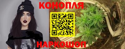 прущие грибы Ярославль