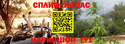 прущие грибы Ярославль