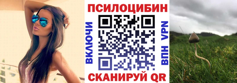 Галлюциногенные грибы Psilocybe  цены   Тутаев 