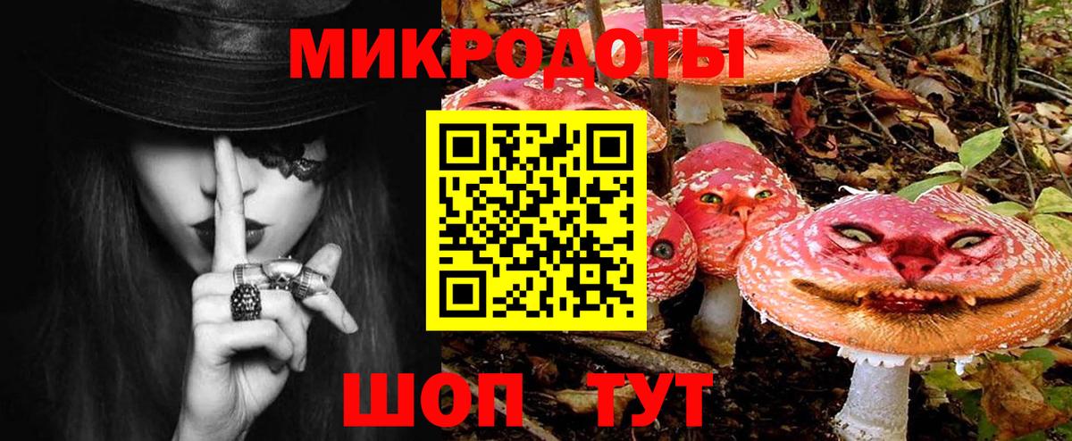 где продают наркотики  Вход с VPN  Тутаев  Галлюциногенные грибы Psilocybe 