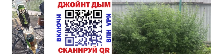 Конопля Amnesia  где продают   Тутаев 